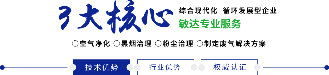 骚鸡巴视频敏达环保科技（嘉兴）有限公司